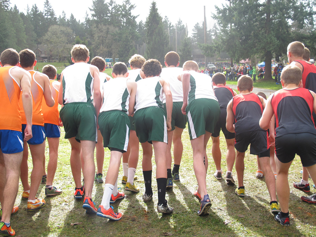 Cross country gives state a run for the money