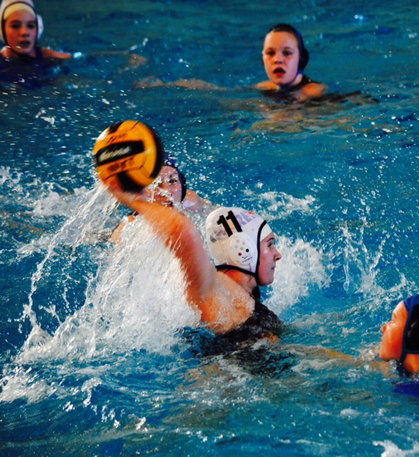 Wiltse works her way to collegiate water polo
