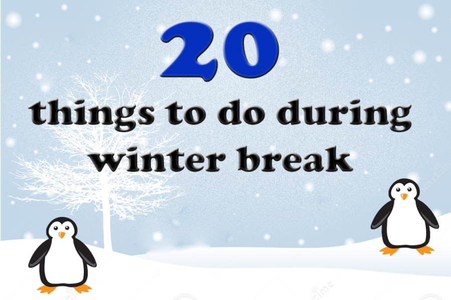 Twenty things to do during Winter Break