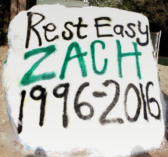 School rock painted in loving memory of Zach.